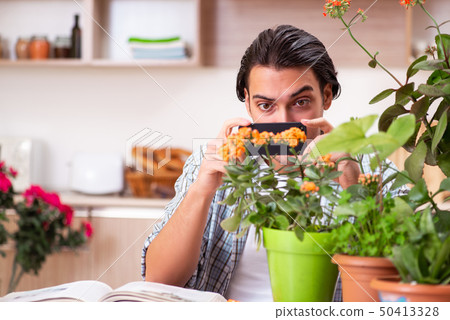 Young handsome man cultivating flowers at home Young handsome man cultivating flowers at home 50413328