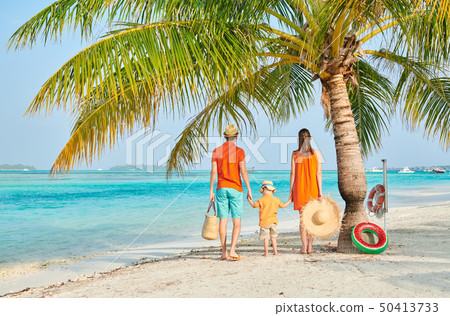 Family of three on beach under palm tree 50413733