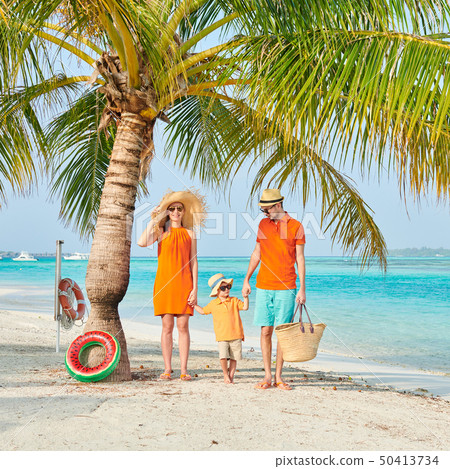 Family of three on beach under palm tree 50413734