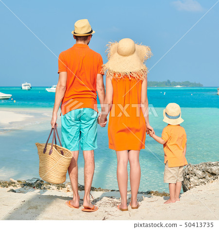 Family of three on beach under palm tree 50413735