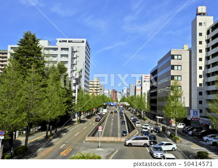 從仙台市的西公園人行天橋俯瞰的廣瀨街 從仙台市的西公園人行天橋俯瞰的廣瀨街 50414571