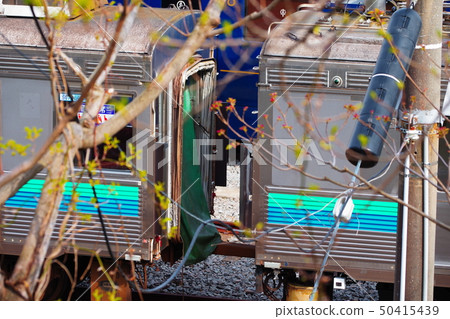 伊豆高原站的8000系列列車 伊豆高原站的8000系列列車 50415439