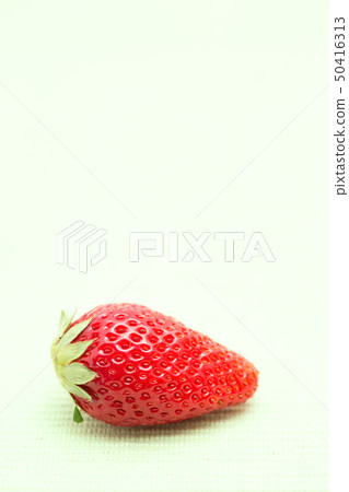 Strawberries and caterpillars Strawberries and caterpillars 50416313