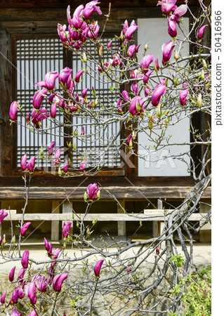 Seamyeon，Seongsan寺，情況山，Seosan，忠南 50416966