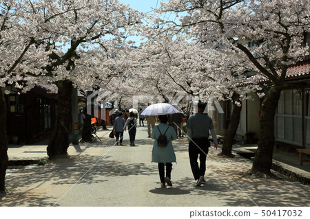 Shinjo村位於Sakura Okayama Shinjo村位於Sakura Okayama 50417032