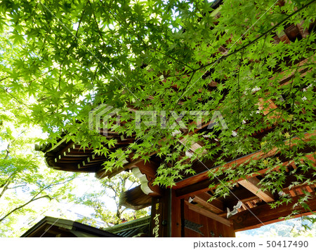Kyoto Eikan-do Shorin-ji Temple Aomoriji 50417490