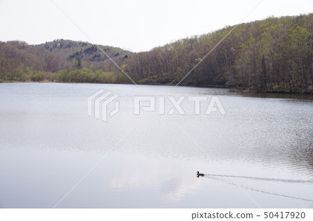 Pond Hokkaido 50417920