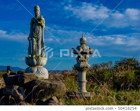 [靜岡縣伊豆半島]西伊豆天際線的風景[秋天] 50418254