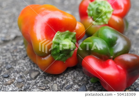 Red bell pepper Red bell pepper 50418309