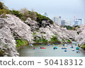 Chidoriguchi的櫻花 50418312