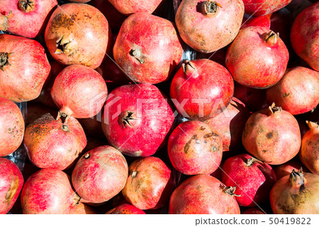Looking at a lot of pomegranates Looking at a lot of pomegranates 50419822