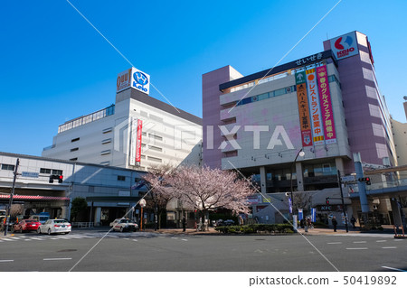 Sakuragaoka Station in spring 50419892