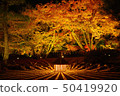 日本寶藏 50419920
