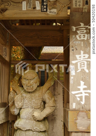 Fugiji寺的秋天 50420198