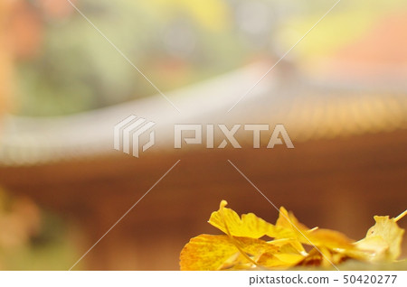 Fall of Fugiji Temple 50420277