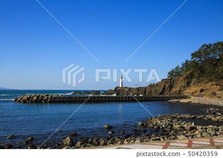 Tsuruoka City, Yamagata Prefecture 50420359