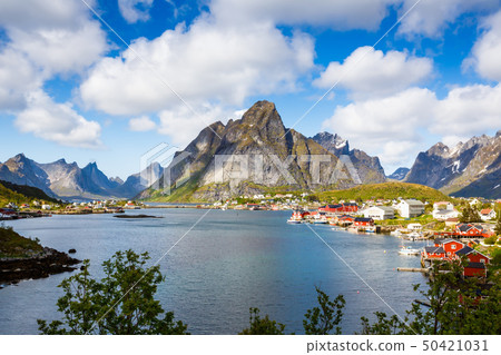 Reine in Norway 50421031