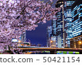 櫻花和建築物(在大阪市福島區) 櫻花和建築物(在大阪市福島區) 50421154