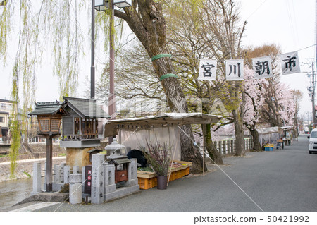 Gifu Prefecture Takayama City Miyagawa morning market Spring Gifu Prefecture Takayama City Miyagawa morning market Spring 50421992