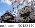 靖國神社的Sakuk等人 50422450