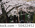 靖國神社Hanabuki 50422452