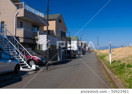 Residential area along the Tama River Residential area along the Tama River 50423461