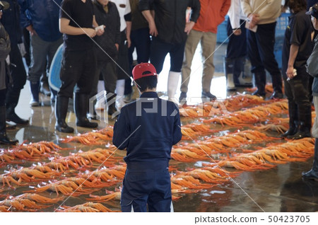 螃蟹系列3 50423705