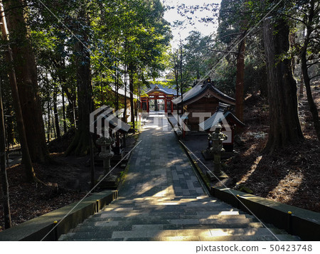 [神社和廟宇]沿著表參道走 50423748