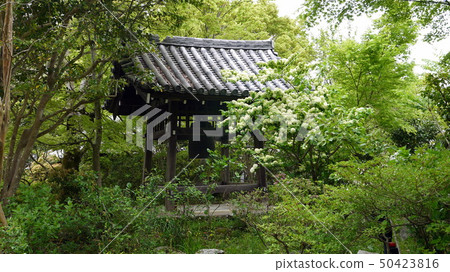 Jy瑠璃寺的鐘樓 Jy瑠璃寺的鐘樓 50423816