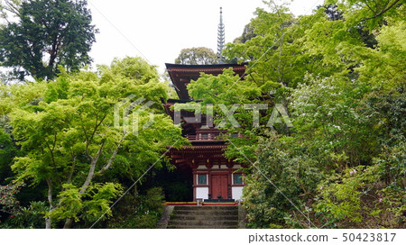 Jyuri-ji的三重塔和藍色秋葉 50423817