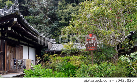 Nine-body Amidado entrance of Jyuri-ji Temple Nine-body Amidado entrance of Jyuri-ji Temple 50423820