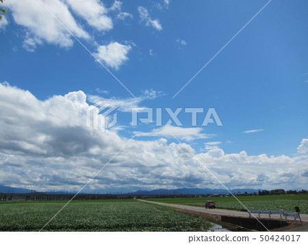 夏季鄉村道路 夏季鄉村道路 50424017