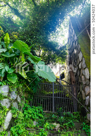 Jiuzhai，台灣都市風景 50424037