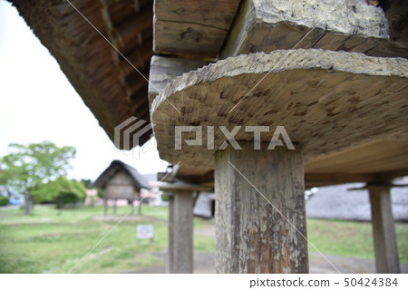 Mouse return Mouse return 50424384