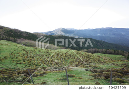 Beautiful scenery of Shikoku karst in Japan Beautiful scenery of Shikoku karst in Japan 50425309