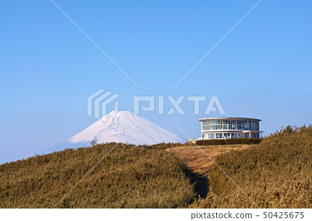 [Shizuoka Prefecture, Izu, Hakone] Mt. Fuji seen from Tokokuen 50425675
