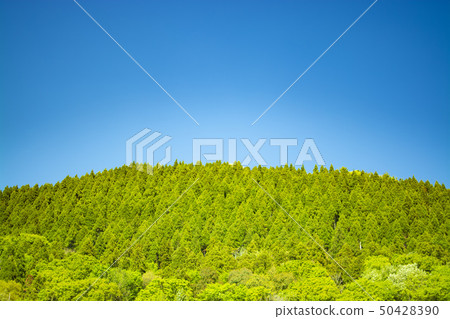 Mountain of fine weather Mountain of fine weather 50428390