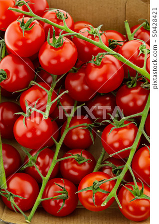 background tomato branch cherry red vegetable background tomato branch cherry red vegetable 50428421