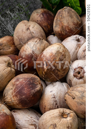 coconut brown fruit palm trees many nuts pile 50428501