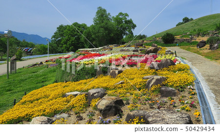 May National Government Park 3 50429434