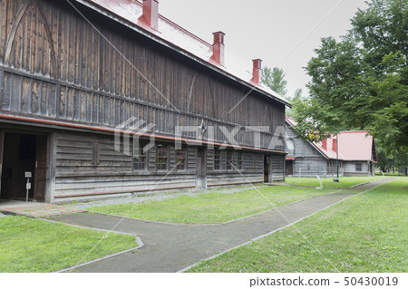 Kitadaiuchi札幌農業學校2號農場模型牲畜棚和牛群 50430019