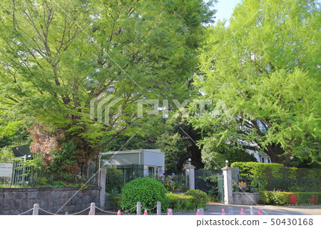 荷蘭大使館 50430168