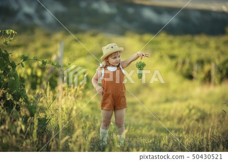 A Happy family walking history. mother and baby hugging in a meadow yellow flowers on nature in 50430521