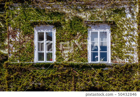 Historical house with vindow of Mikulov Historical house with vindow of Mikulov 50432846