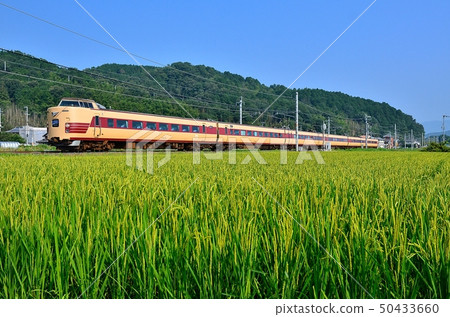 Train Train San-in Main Line Kyoto Exit Rice Field Aonae Rice 381 Limited Express Hachidate Chiyogawa-Namikawa Kameoka City JR 50433660