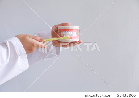 Toothpaste Toothpaste 50433800