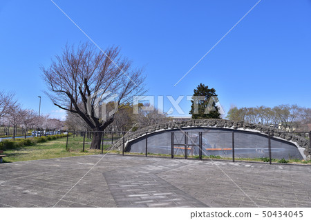 三鷹市/武藏野之森公園黑貂海溝大澤一號 三鷹市/武藏野之森公園黑貂海溝大澤一號 50434045