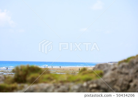 Low tide Reef Fishing 50434206