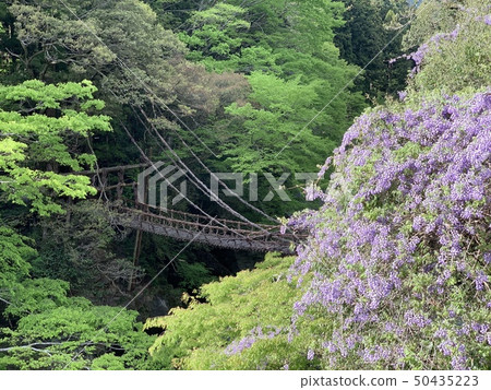 Suspension bridge 50435223