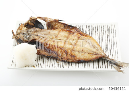 竹莢魚的開幕 50436131